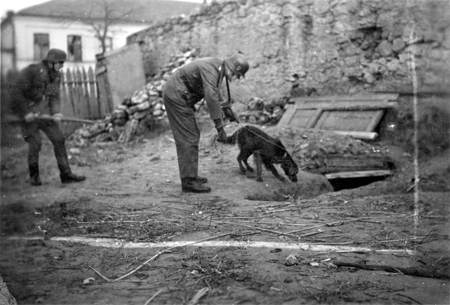 In Russia, i soldati tedeschi utilizzano i cani per la ricerca di partigiani vicino al fronte.