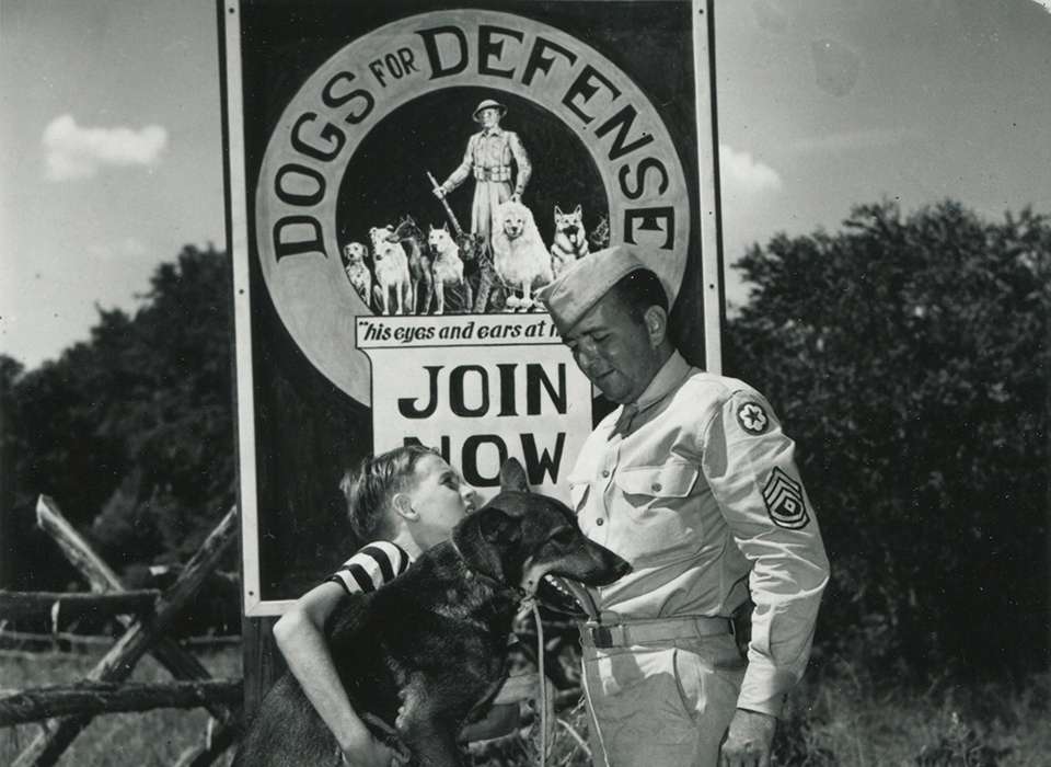 Clyde Porter dona il suo cane Junior all'organizzazione Dogs for Defense. La maggior parte dei 20.000 cani da guerra degli Stati Uniti furono offerti volontariamente dai loro proprietari.
