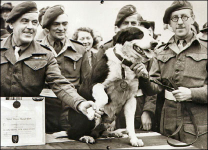 Rob il Collie riceve la medaglia Dickin nel 1945.