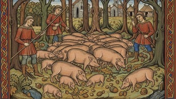 Immagine di copertina per l'articolo L’Economia nel Medioevo e il Sistema Curtense: Come si Viveva?