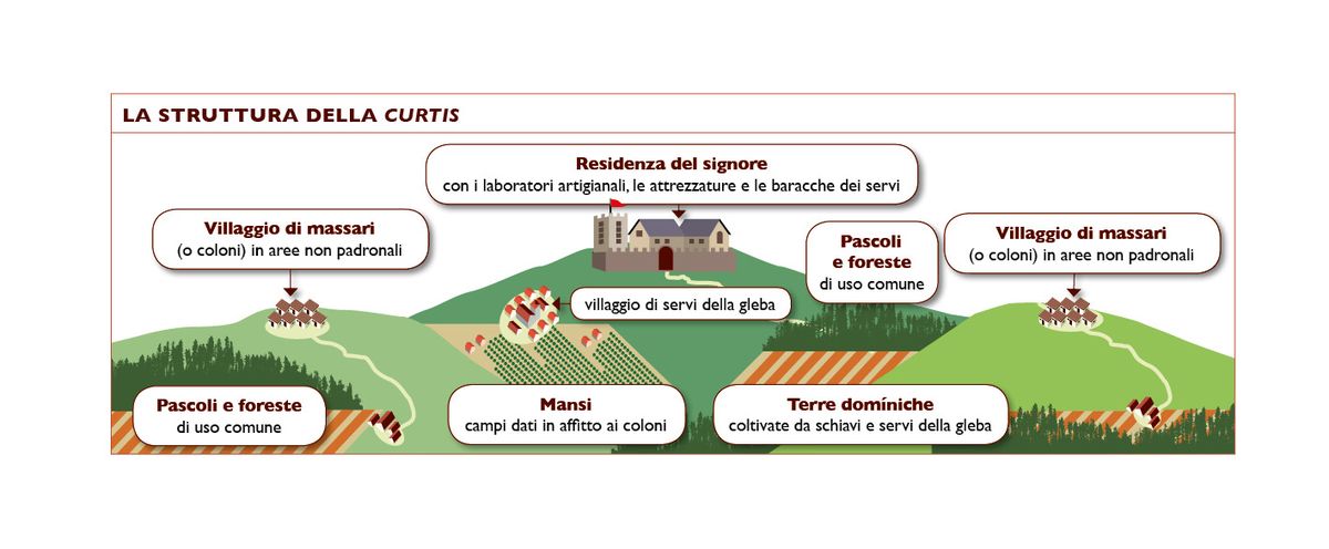 Infografica colorata che illustra il funzionamento del sistema curtense, con le terre del signore e i mansi dei contadini.
